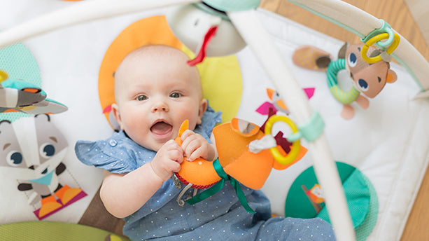 Fine Motor Skills 3 - 6 m