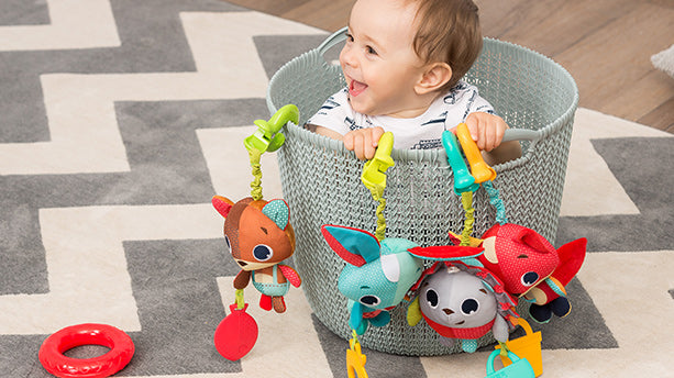 Imagination & Creativity 3 - 6 m