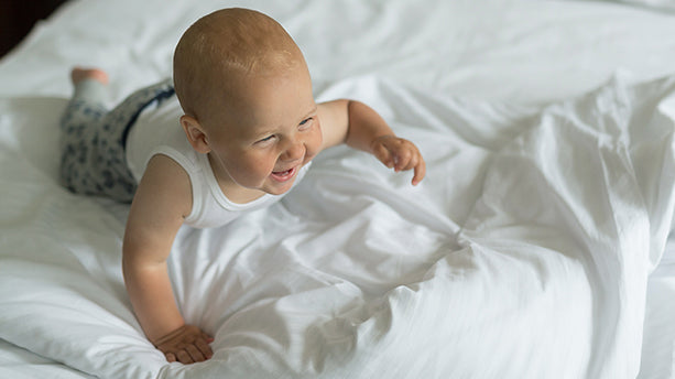 Gross Motor Skills 9 - 12 m