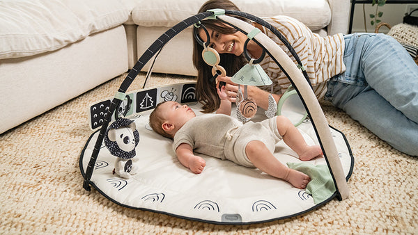 0-3+ months: STIMULATING THE SENSES