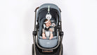 Tummy Time Mobile Entertainer