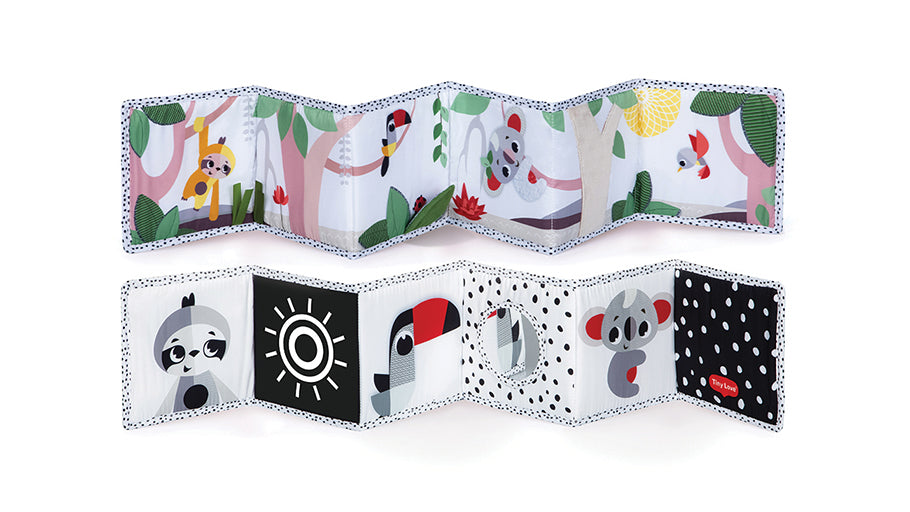 Double Sided First Book