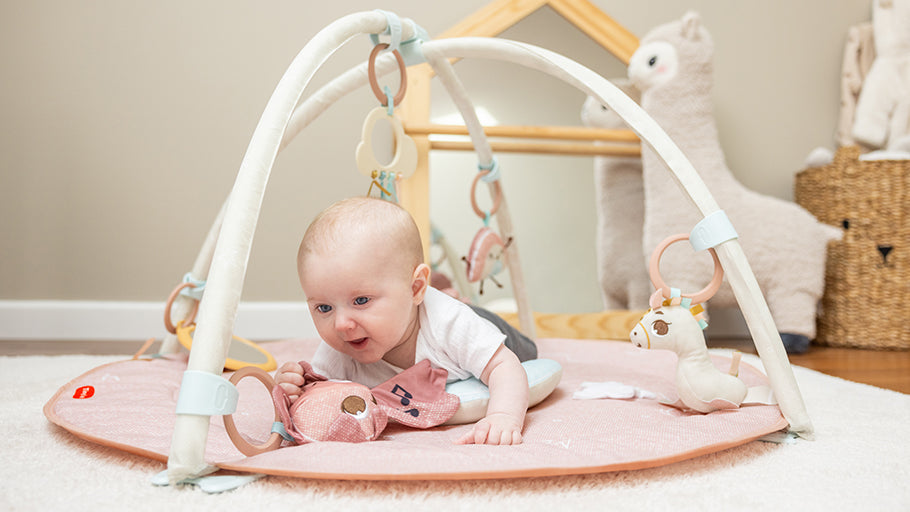 Developmental Gymini®