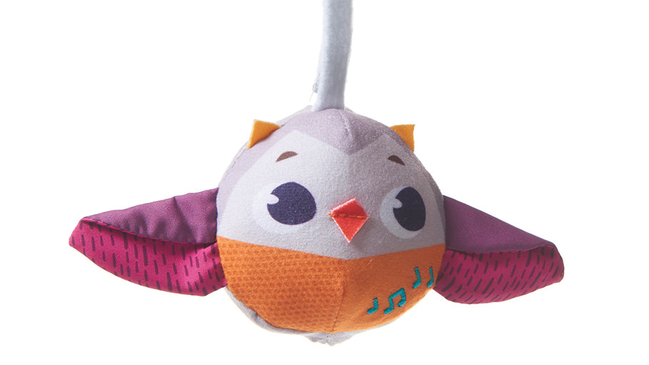 Musical Nature Stroll