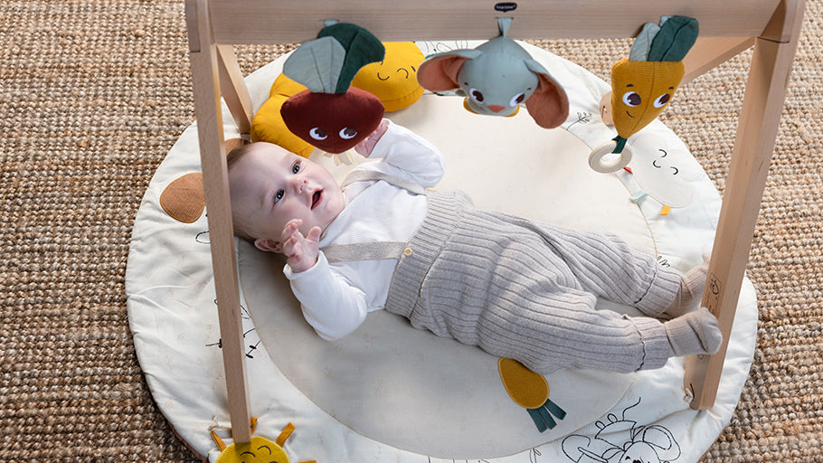 Luxe Developmental Gymini®