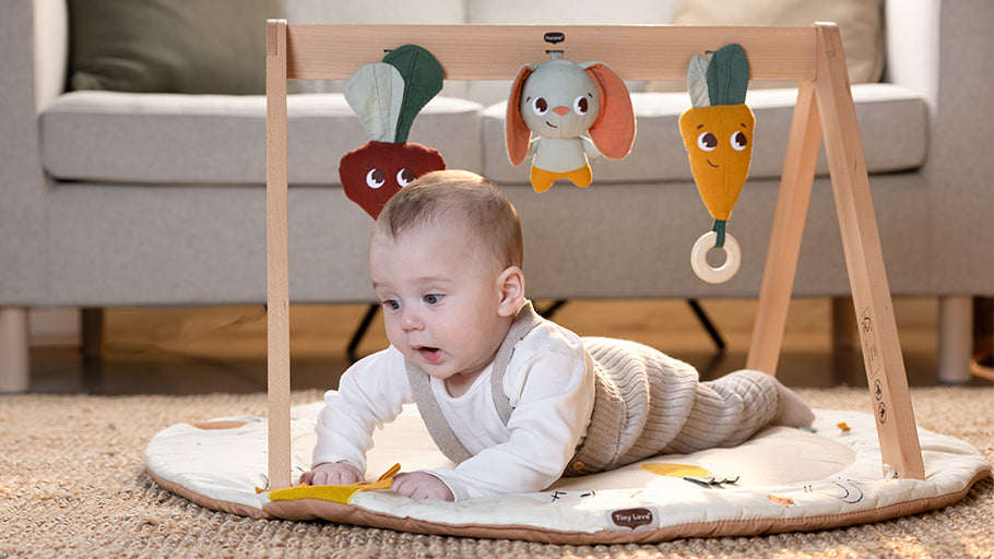 Luxe Developmental Gymini®