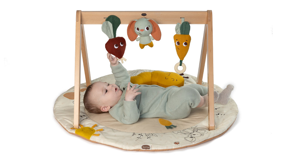 Luxe Developmental Gymini®