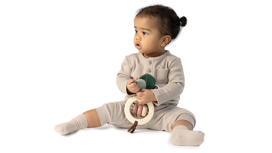 Take Along Rattle Toy