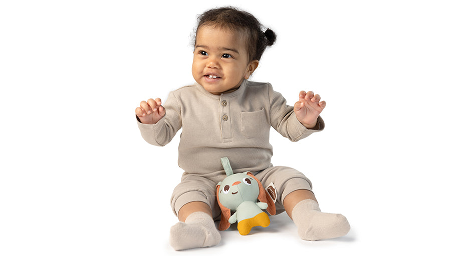 Bunny Take Along Rattle Toy