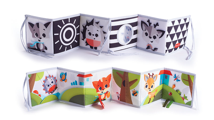 Double Sided First Book