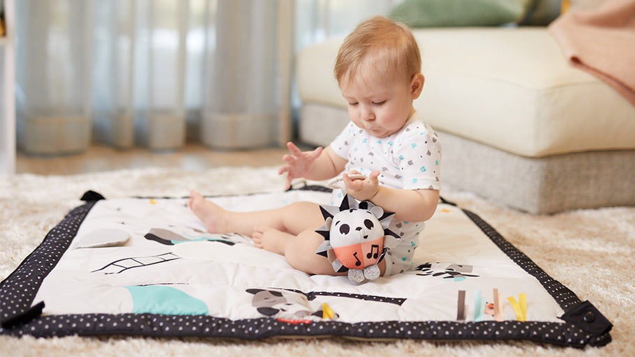 Developmental Gymini®