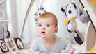 Developmental Gymini®