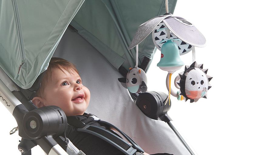 Pack & Go Mini Mobile