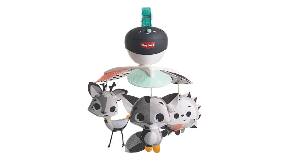 3-in-1 Take-Along Mobile™