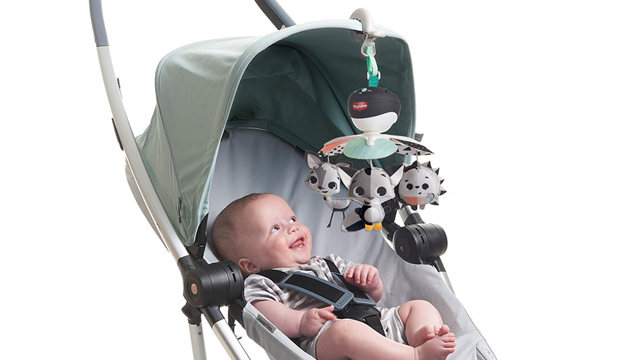 3-in-1 Take-Along Mobile™