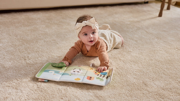 5+ months: COGNITION - OBJECT PERMANENCE