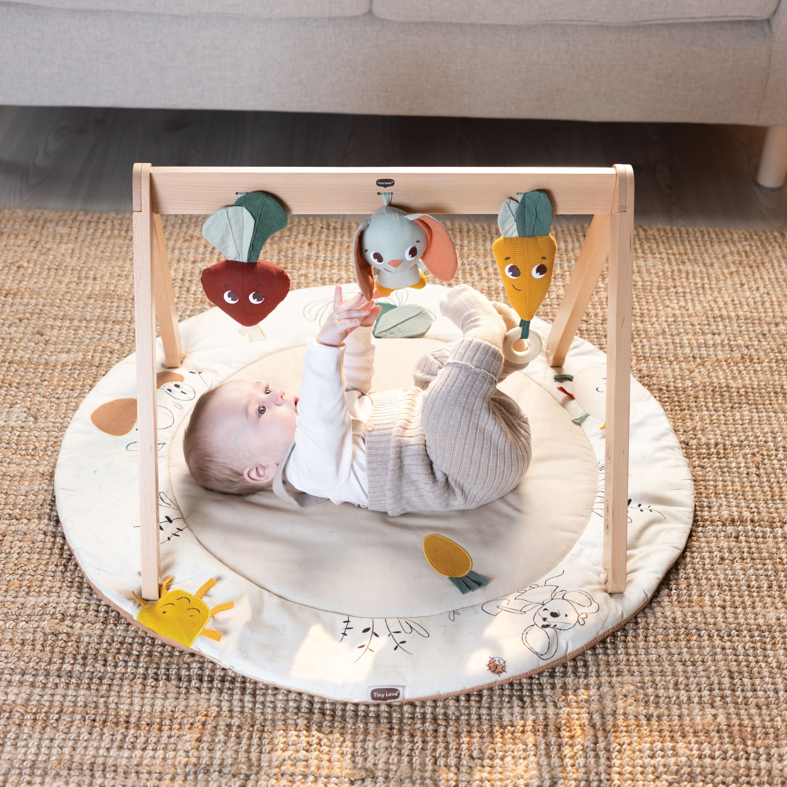Luxe Developmental Gymini - baby playing with toys