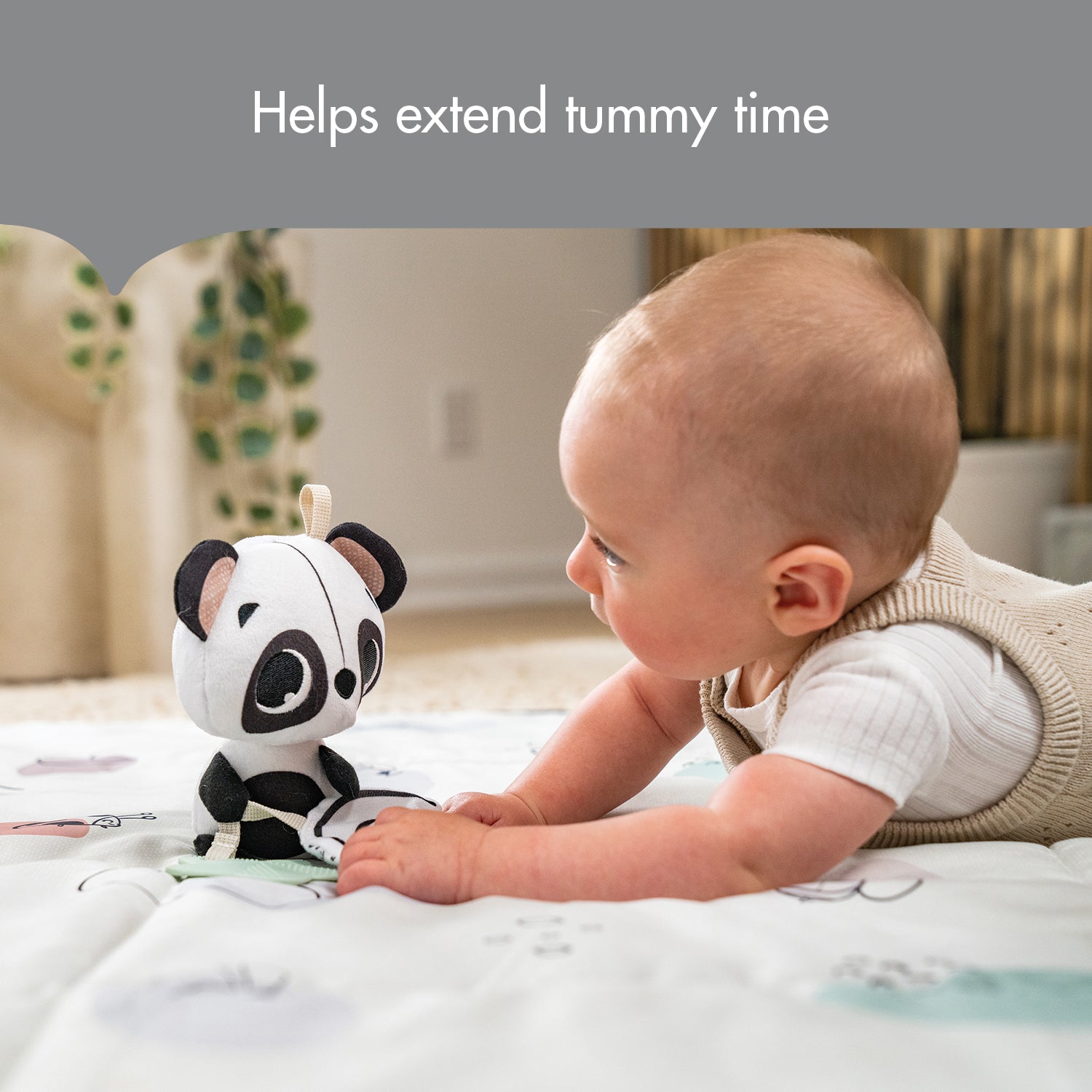 Panda Take Along Rattle Toy - helps extend tummy time