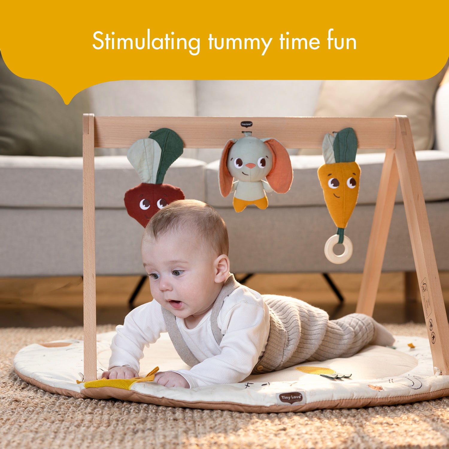 Luxe Developmental Gymini - stimulating tummy time fun