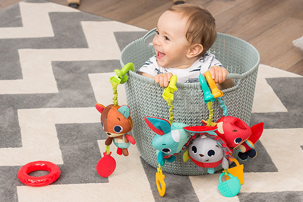 Imagination & Creativity 3 - 6 m