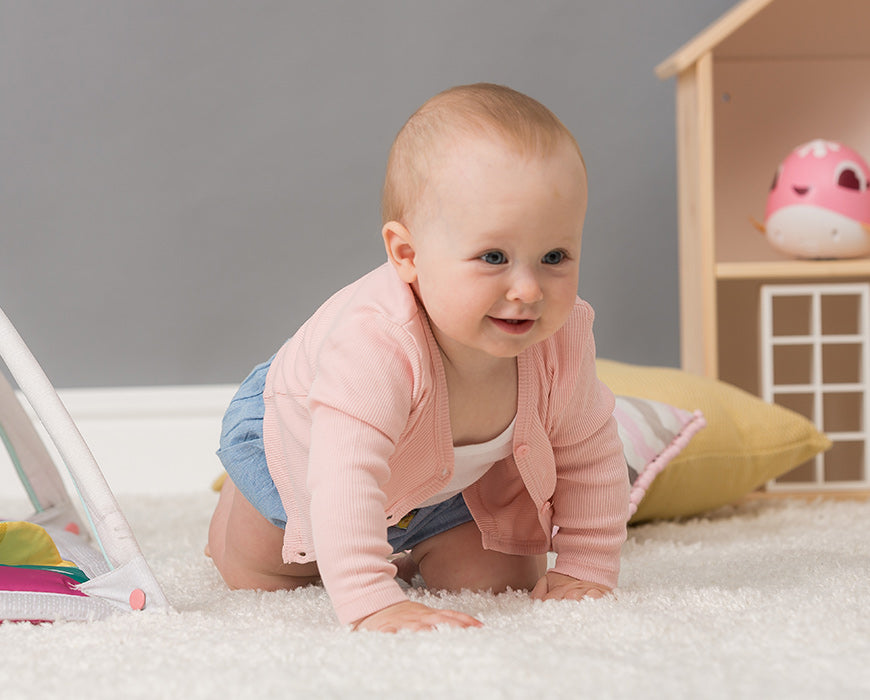 Motor Development in the First Year