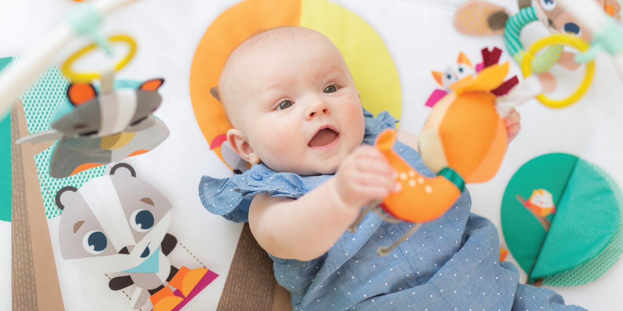 Into the Forest Collection