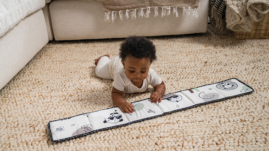 5+ months: OBJECT PERMANENCE
