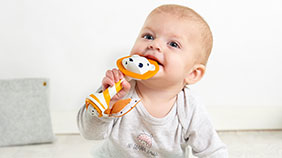 3-5+ meses - SENTIDOS