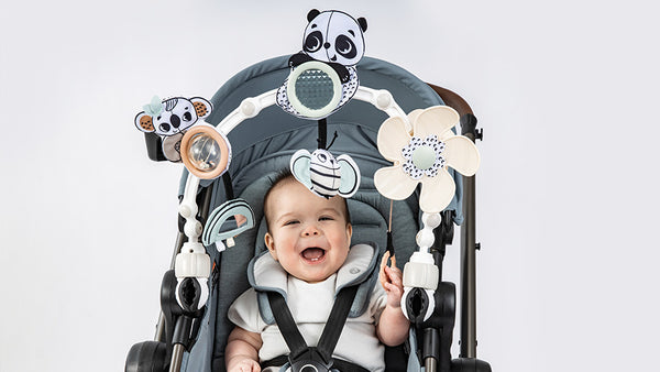 5+ months: COGNITIVE DEVELOPMENT