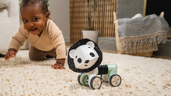 6-12+ months: IMAGINATION & CREATIVITY - NEW PERSPECTIVES