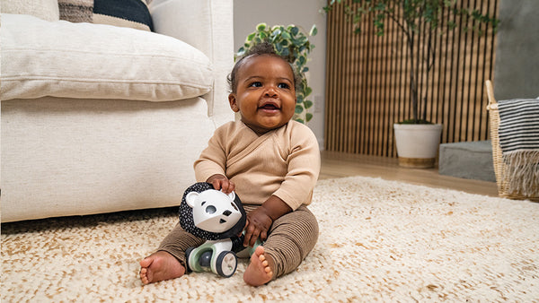 12+ months: COGNITION - SEQUENCES