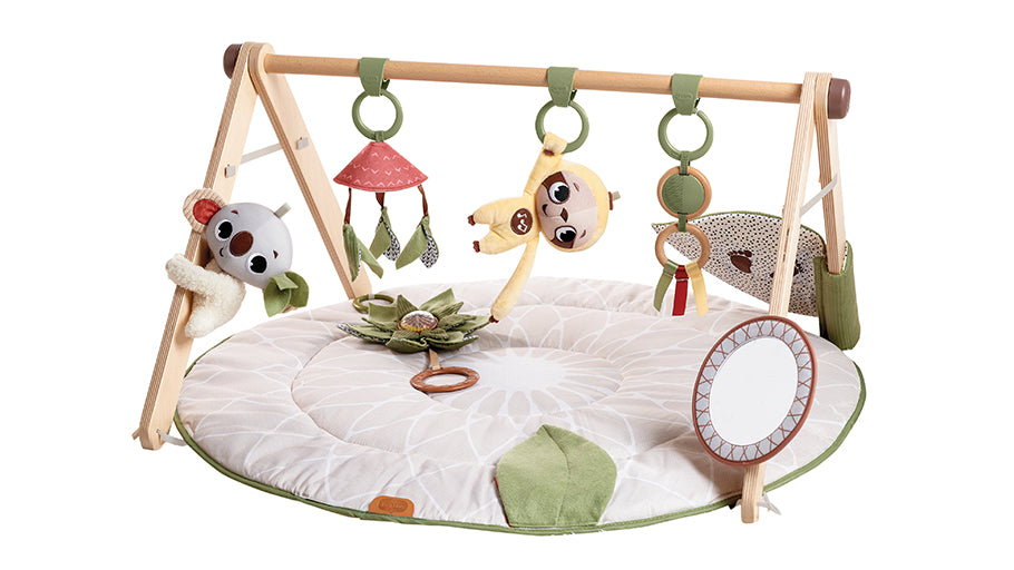 Tiny Love Boho Chic Luxe Developmental Gymini