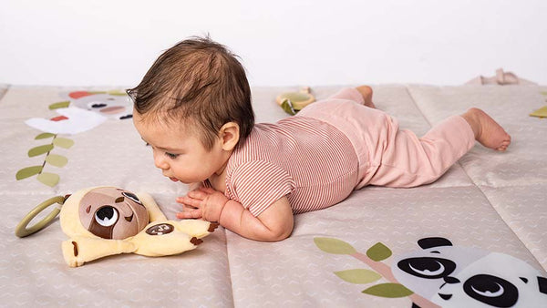 0-2+ months: SENSES – DEVELOPING EYESIGHT​