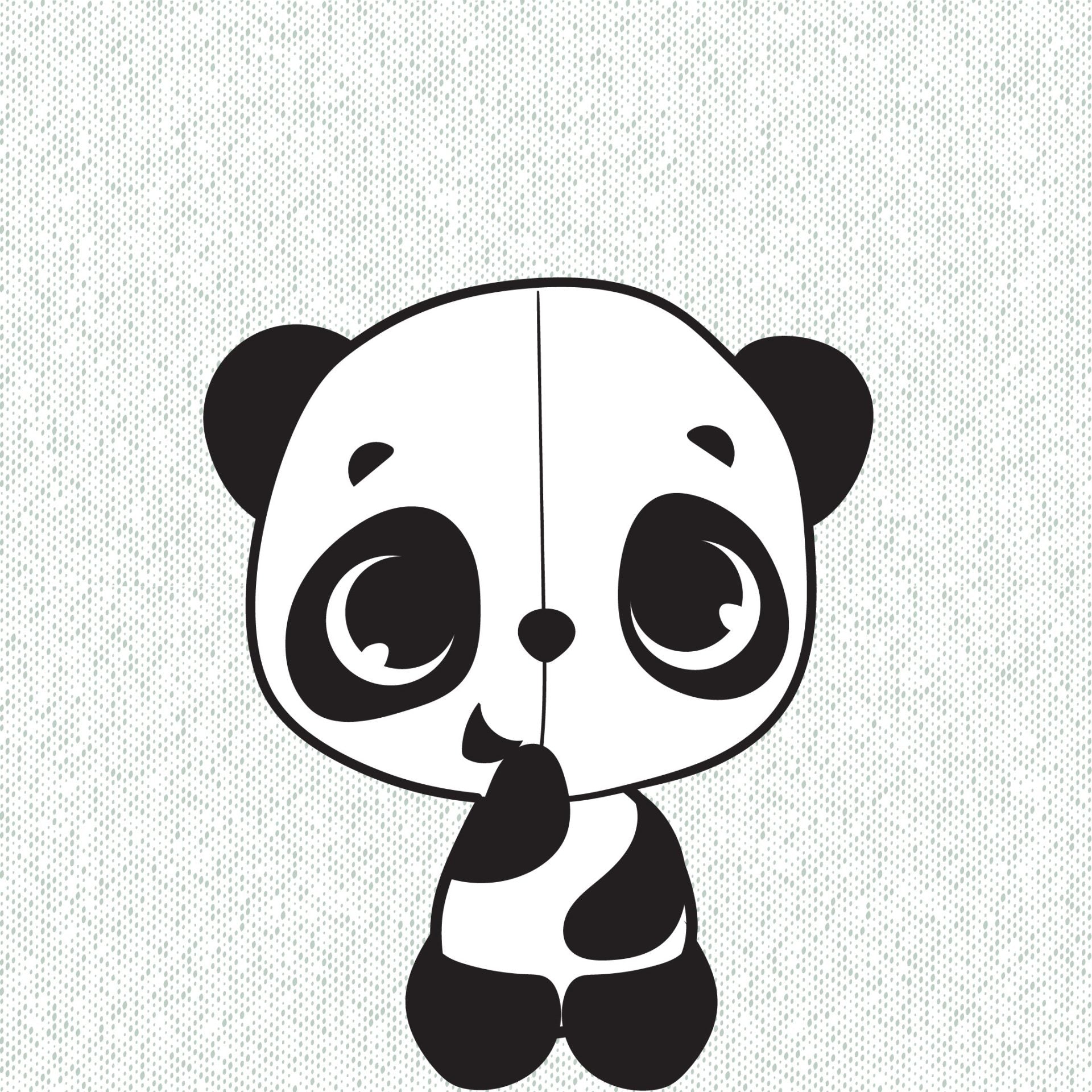Black & White Décor Collection