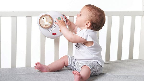 COGNITIVE DEVELOPMENT