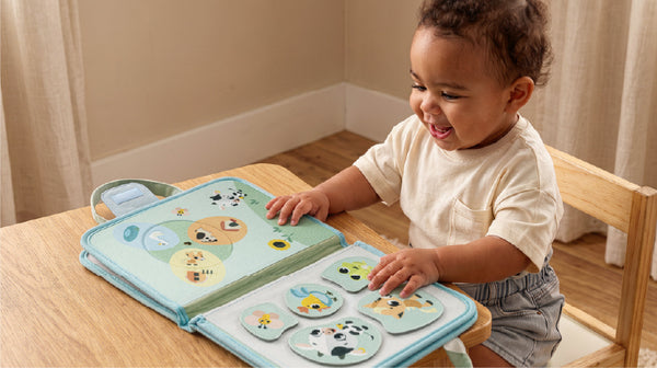 24+ months