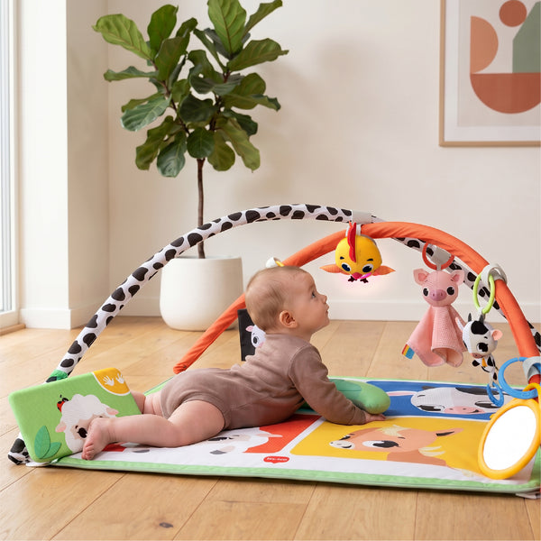 6+ months: ENCOURAGES COGNITIVE DEVELOPMENT