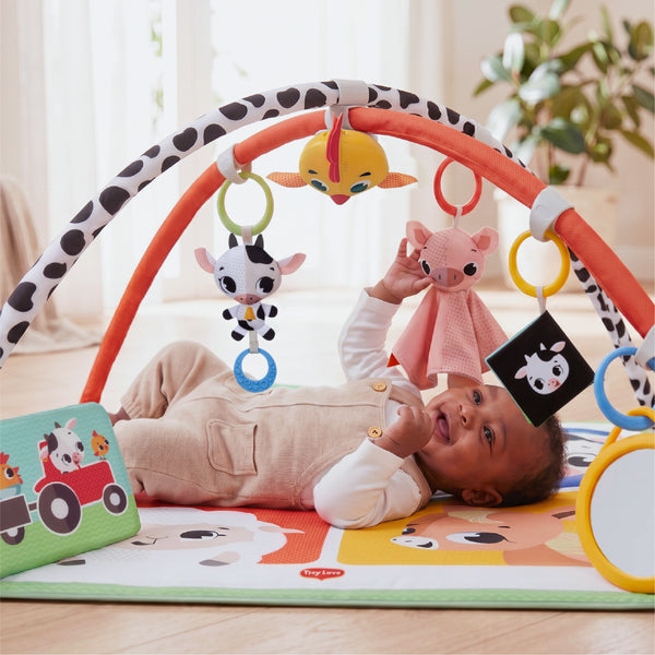 0-3+ months: STIMULATES THE SENSES