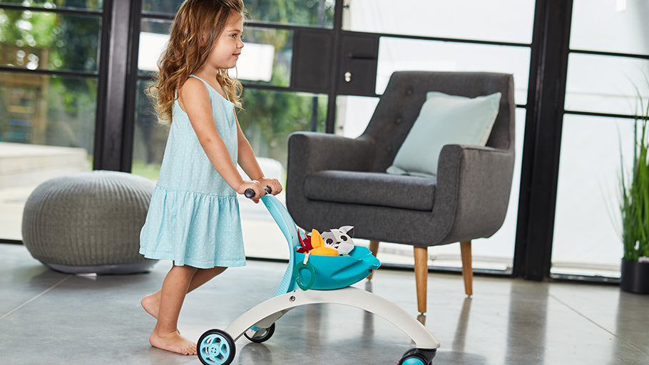 18+ months: PUSH TOY