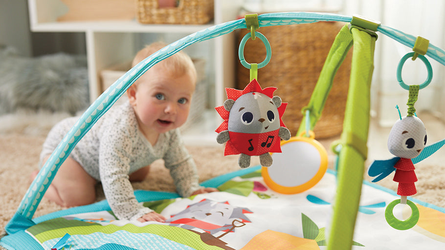 4-6+ months: COGNITION - UNDERSTANDING CAUSE & EFFECT