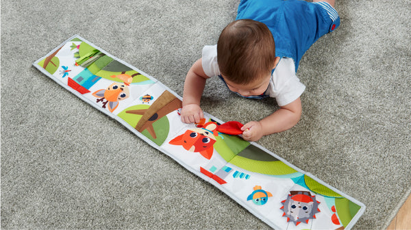 5+ months: COGNITION - OBJECT PERMANENCE