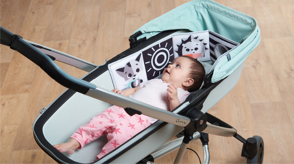 0-3+ months: THE SENSES - VISUAL STIMULATION