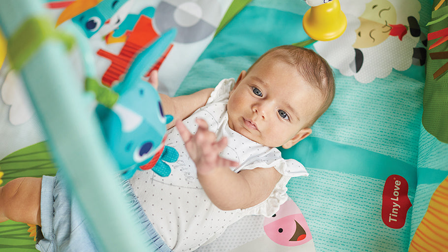 子供用品 TINYLOVE   GIMINI Kick&Play Kick & Play Gymini – Tiny Love