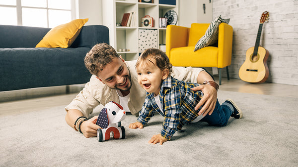 9+ months: COGNITIVE DEVELOPMENT