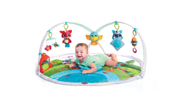 6 month baby toys flipkart
